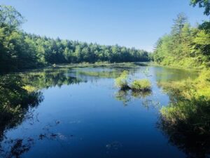 Pisgah State Park