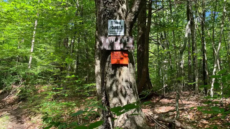 Faulkner Trail Head 768x432