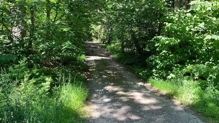 High Blue Faulker Trail Road 768x432