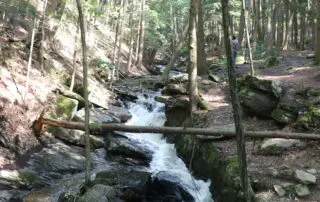 Chesterfield Gorge Nature Area vertical picture.