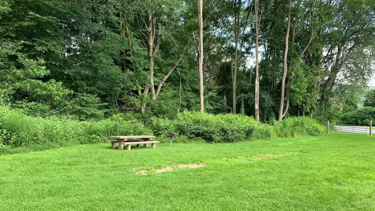 great meadow trail 1 768x432