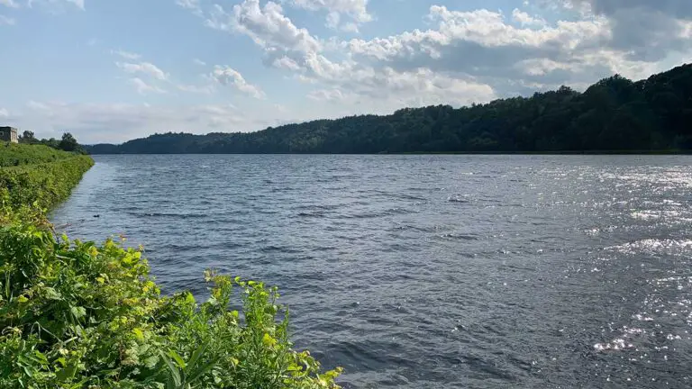 great meadow trail 2 768x432