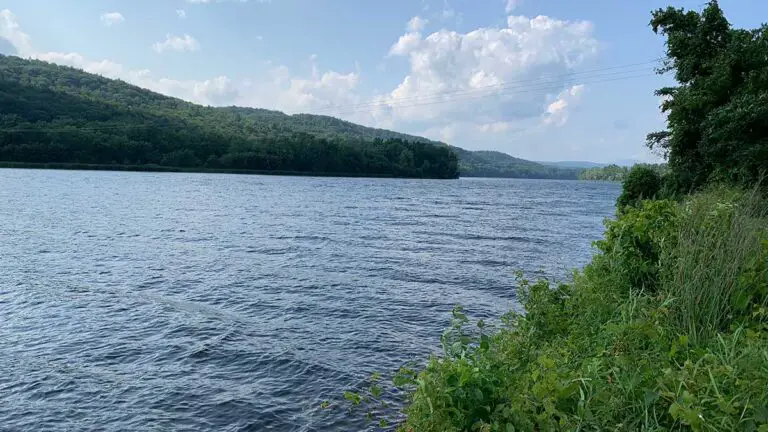 great meadow trail 3 768x432