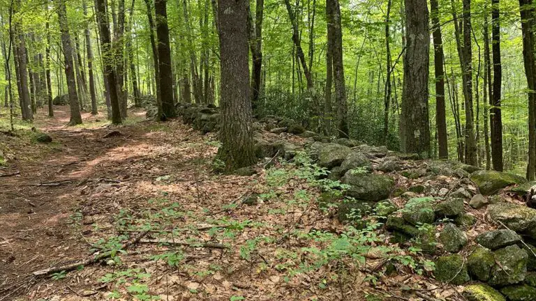 Palmer Bartell Trail 2 768x432