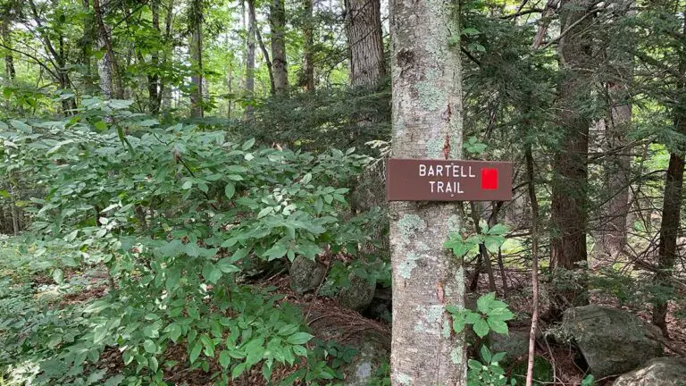 Palmer Bartell Trail 4 768x432