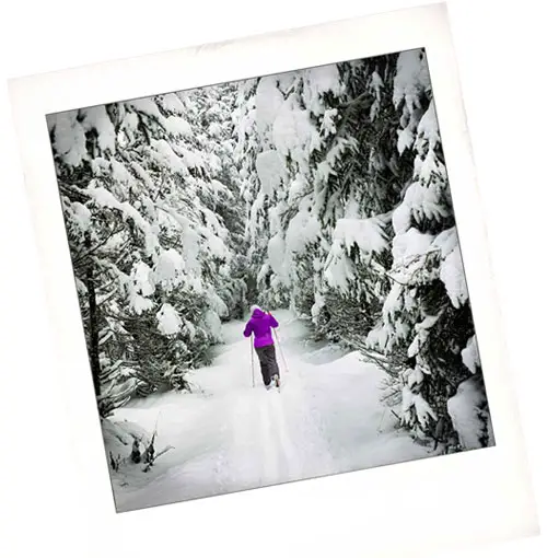 NH XC Skiing Photo