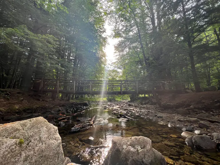 Mink Brook Hanover 5 768x576