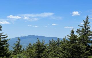 View from Marion Davis Trail