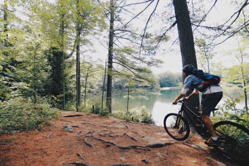 Mountain Bike Trails Drummer Hill Conservation Area Keene, NH
