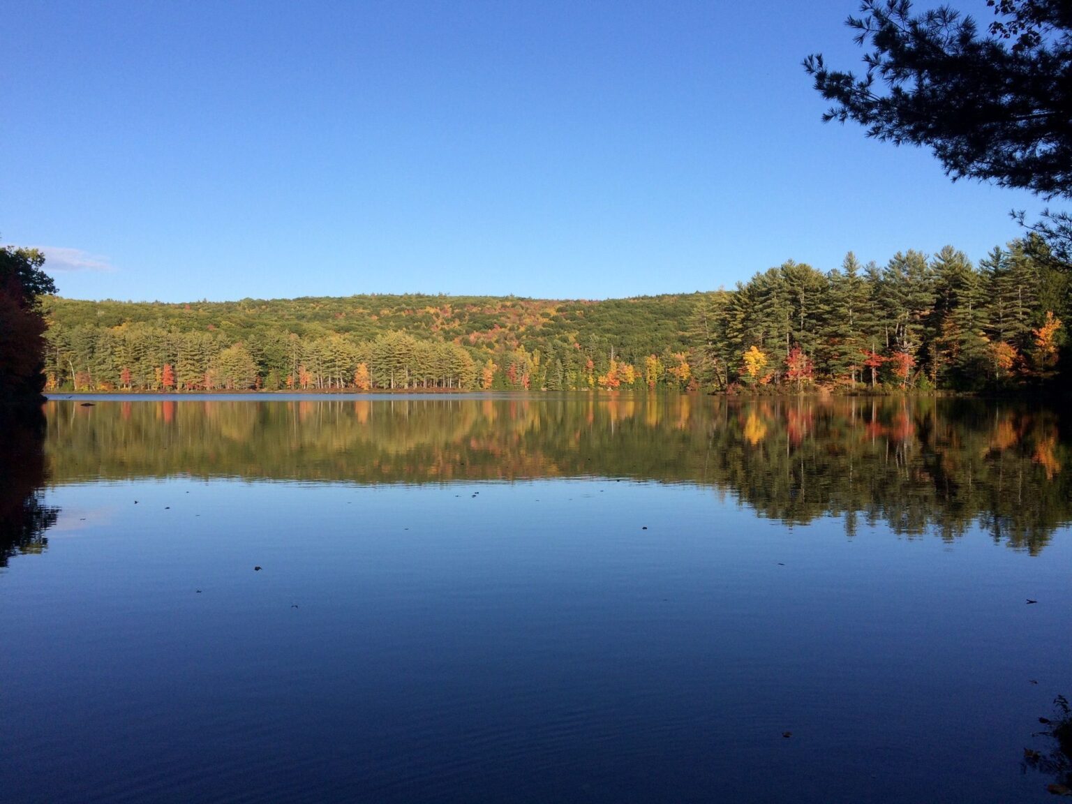 Goose Pond Recreation Area - NH Vacation Ideas