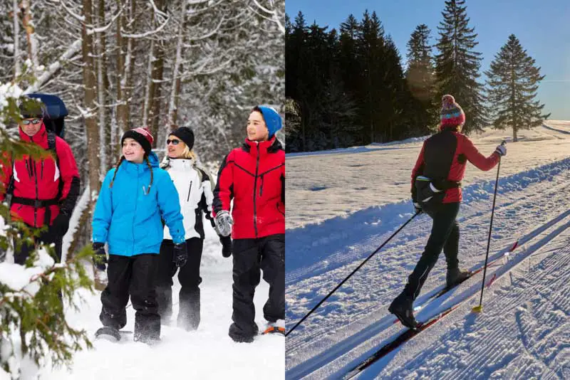 Cross-Country Skiing vs Snowshoeing